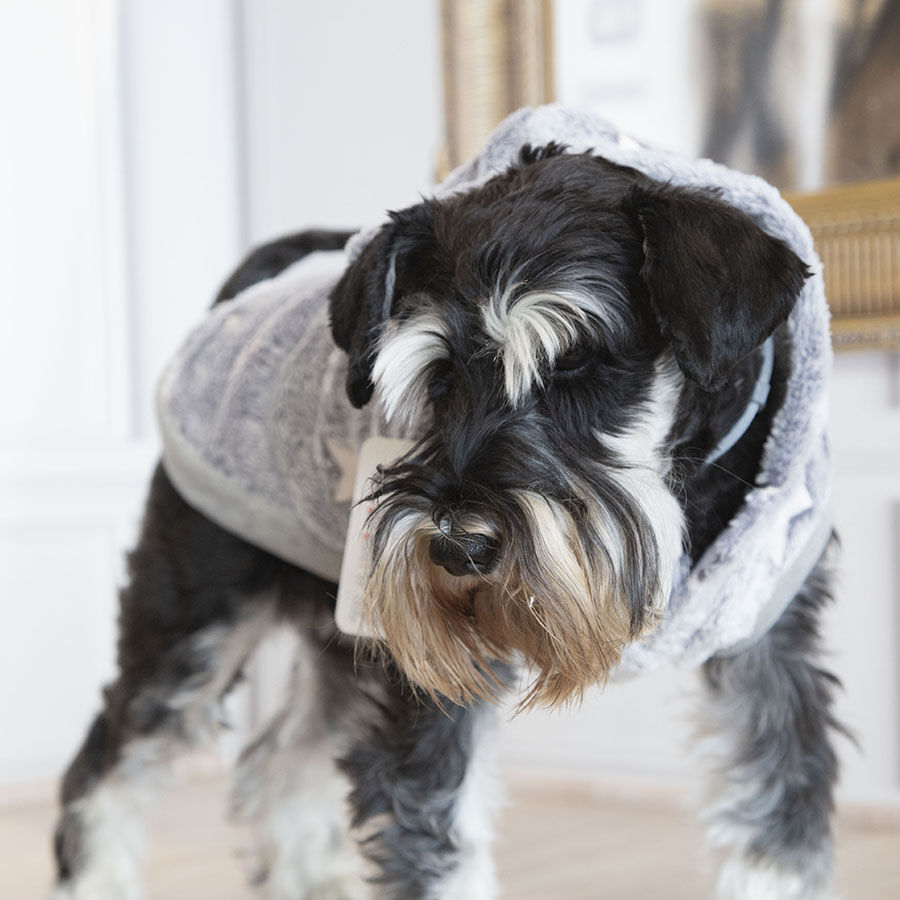 Outech Fleece Sudadera Gris con Estampado de Estrellas para perros, , large Imagen numero 5